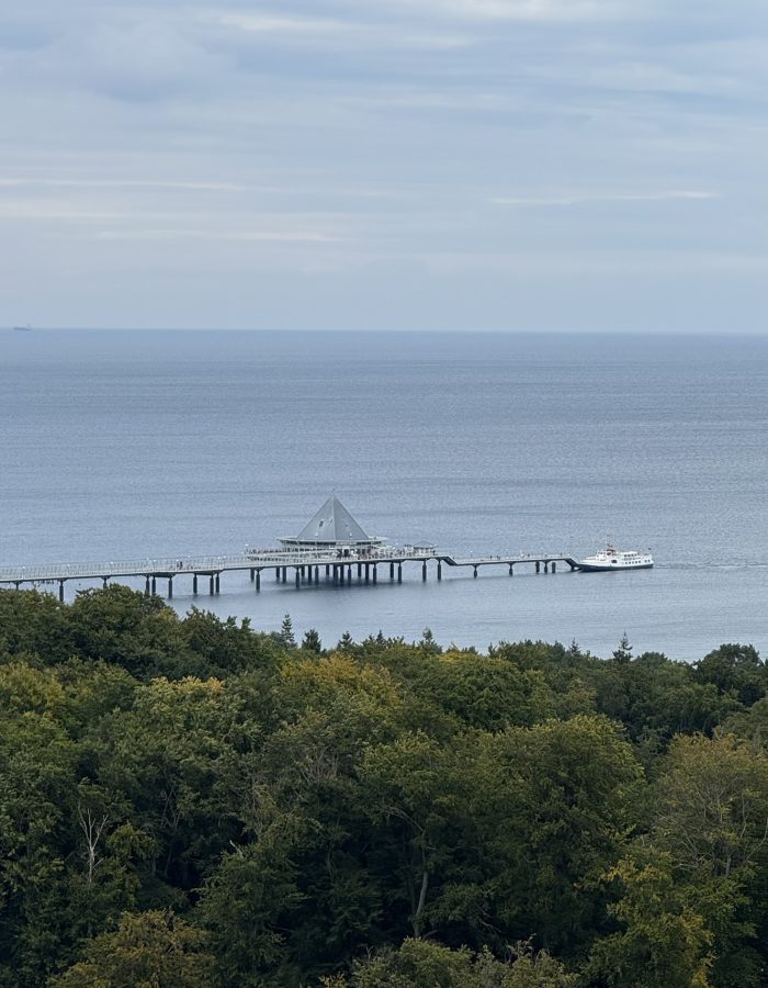 ścieżka w koronie drzew uznam
